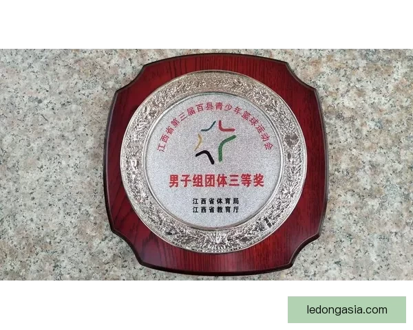 乐动体育官方平台全面升级打造全新体育体验平台 让你畅享每一场精彩赛事
